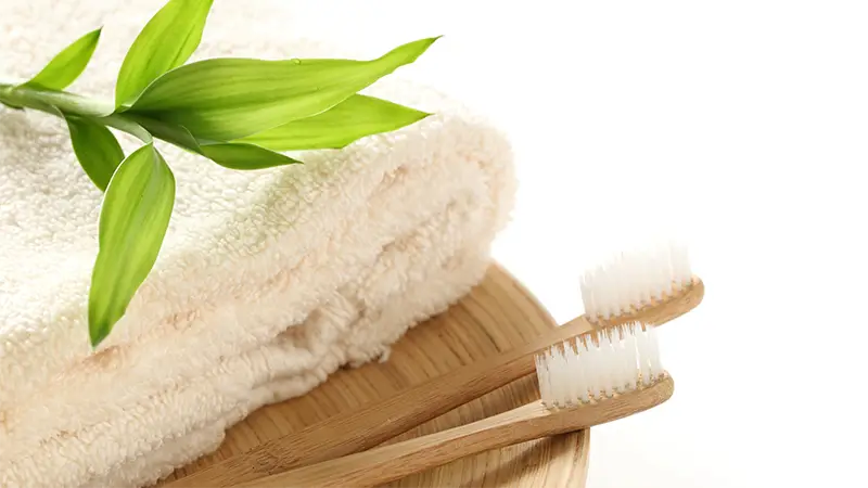 Still life of toothbrushes, loofa, plant and spa feel